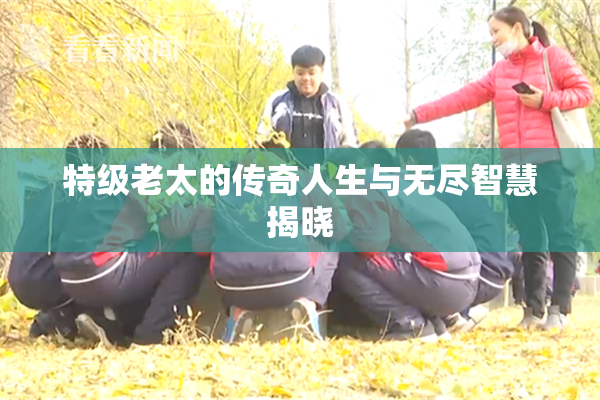特级老太的传奇人生与无尽智慧揭晓