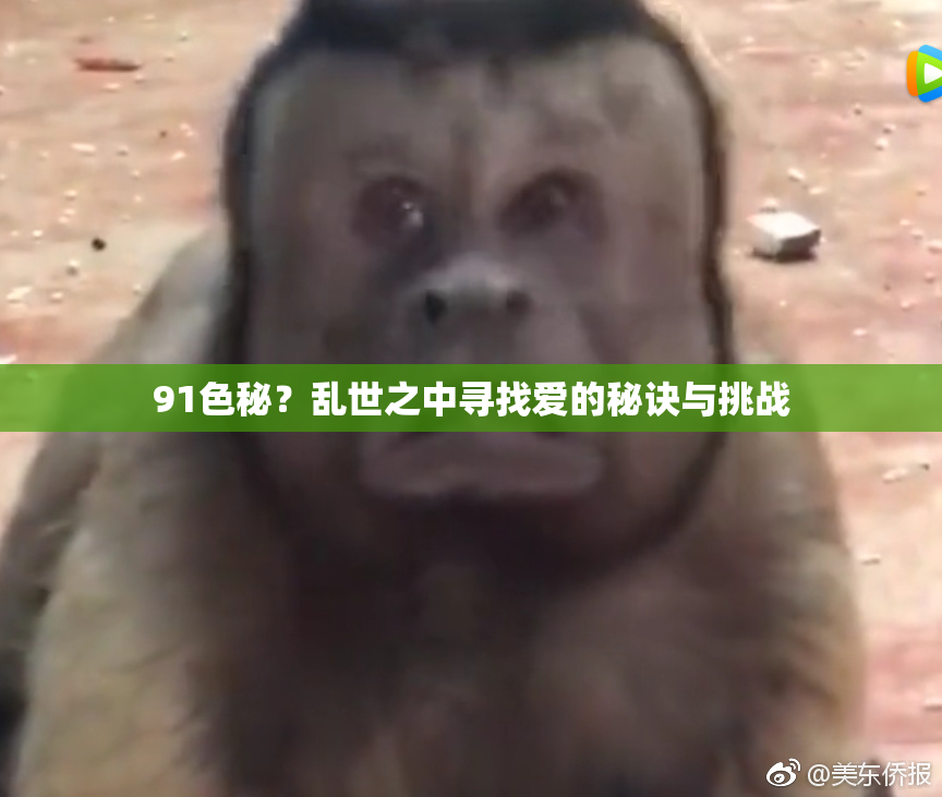 91色秘？乱世之中寻找爱的秘诀与挑战