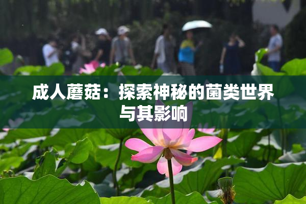成人蘑菇：探索神秘的菌类世界与其影响