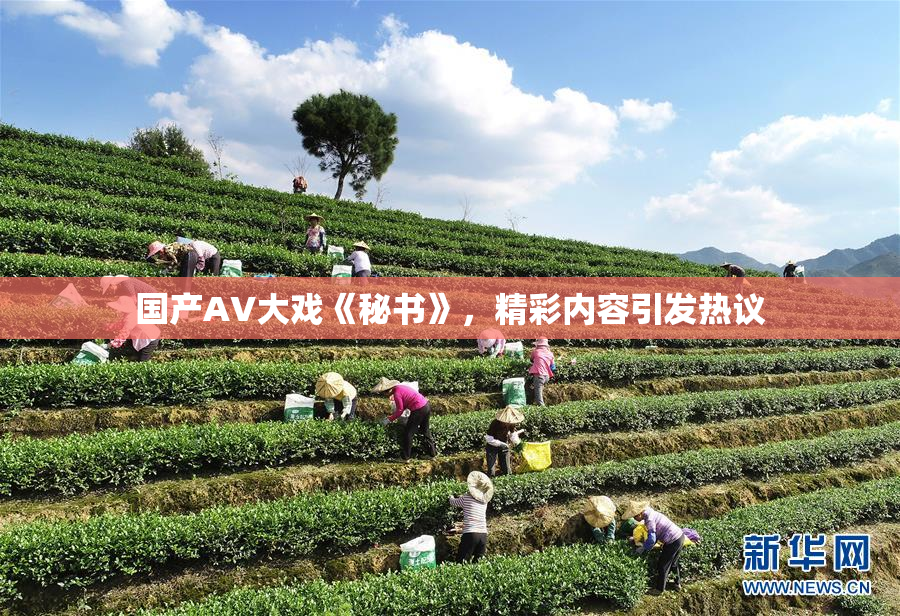 国产AV大戏《秘书》，精彩内容引发热议