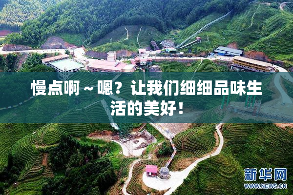 慢点啊～嗯？让我们细细品味生活的美好！