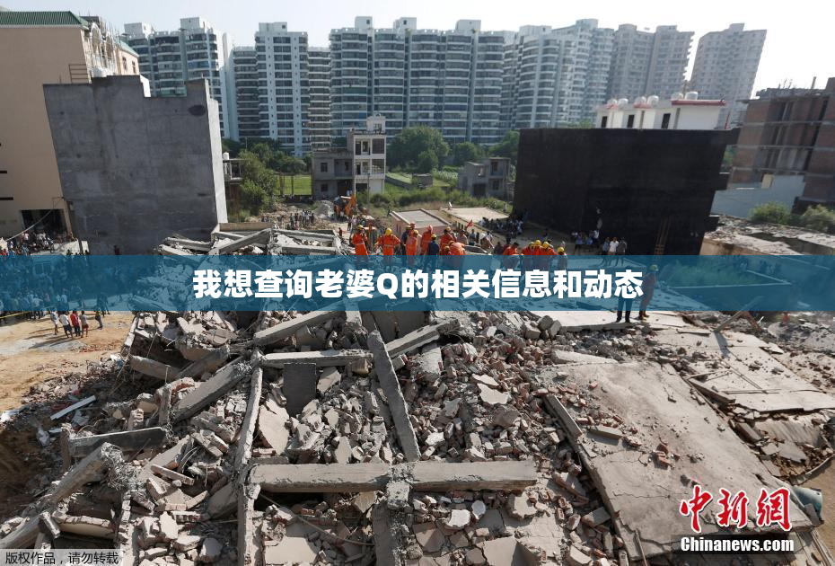 我想查询老婆Q的相关信息和动态