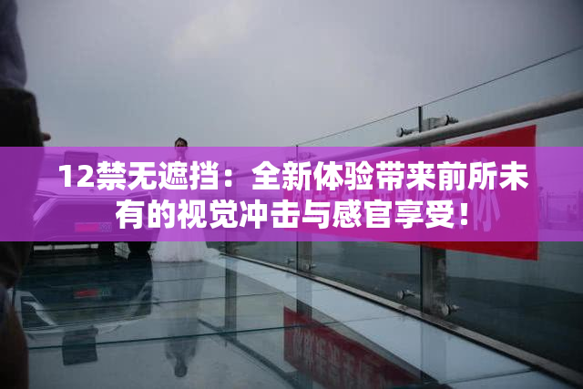 12禁无遮挡：全新体验带来前所未有的视觉冲击与感官享受！