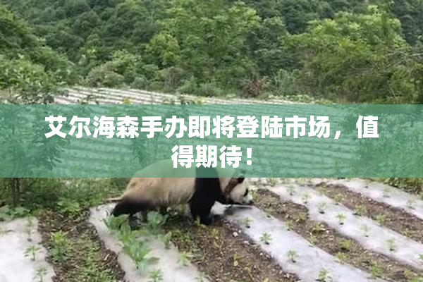 艾尔海森手办即将登陆市场，值得期待！