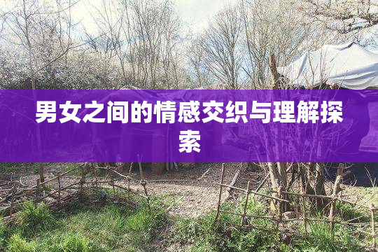 男女之间的情感交织与理解探索
