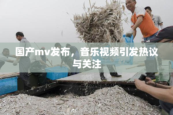 国产mv发布，音乐视频引发热议与关注