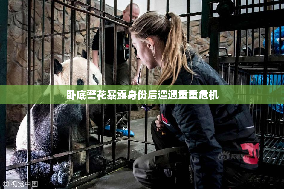 卧底警花暴露身份后遭遇重重危机