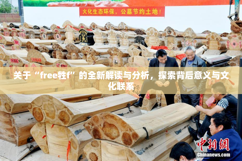 关于“free牲f”的全新解读与分析，探索背后意义与文化联系