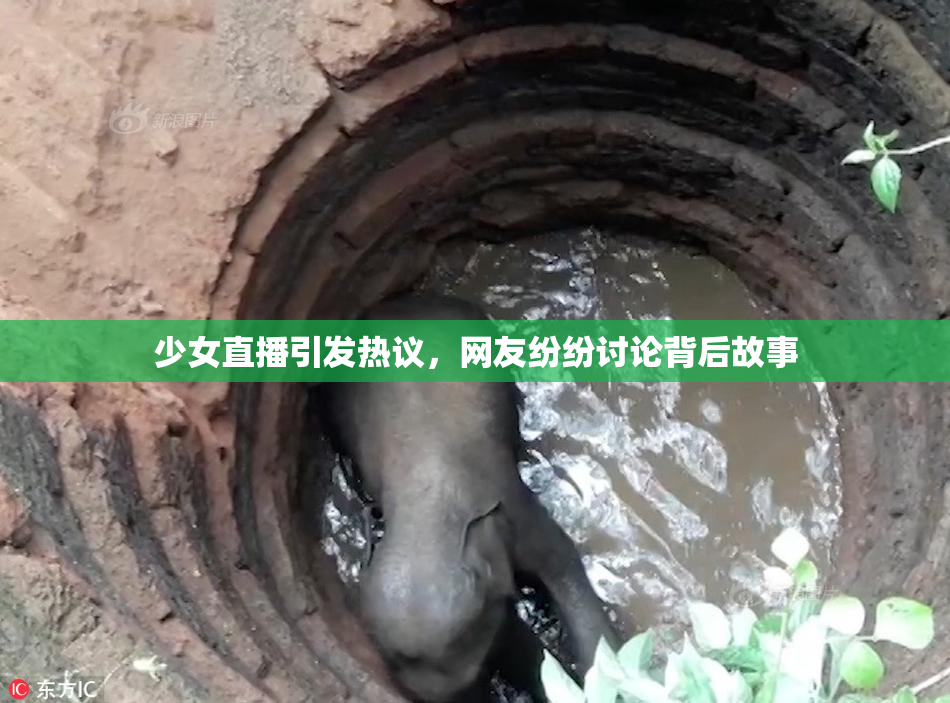 少女直播引发热议，网友纷纷讨论背后故事