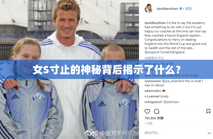 女S寸止的神秘背后揭示了什么？