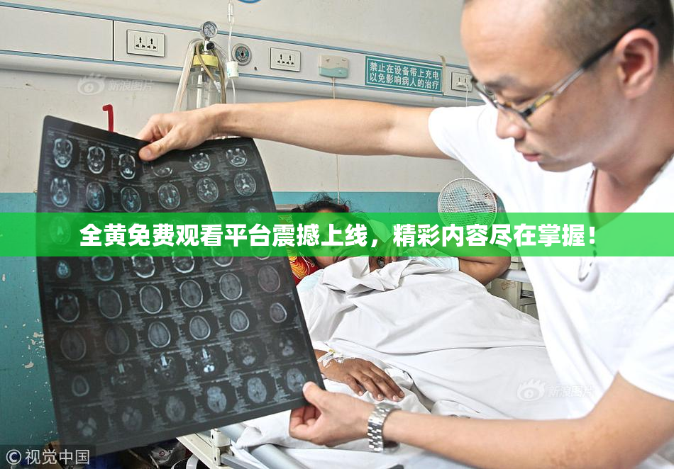全黄免费观看平台震撼上线，精彩内容尽在掌握！