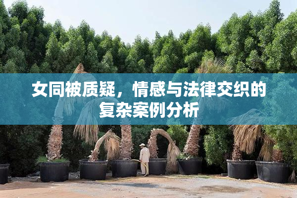 女同被质疑，情感与法律交织的复杂案例分析