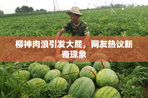 柳神肉浪引发大屁，网友热议新奇现象