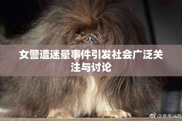 女警遭迷晕事件引发社会广泛关注与讨论