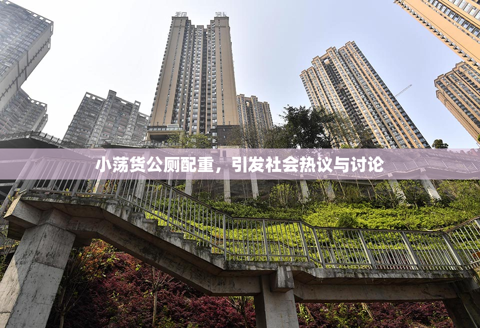 小荡货公厕配重，引发社会热议与讨论