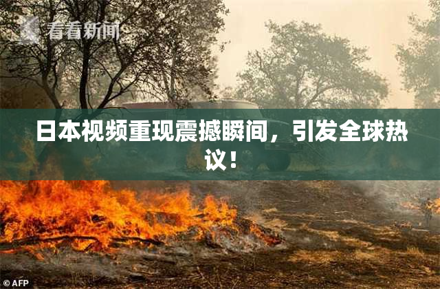 日本视频重现震撼瞬间，引发全球热议！