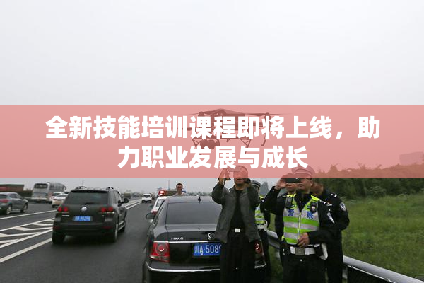 全新技能培训课程即将上线，助力职业发展与成长