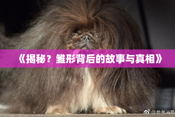 《揭秘？雏形背后的故事与真相》