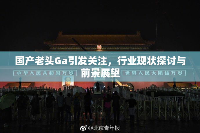 国产老头Ga引发关注，行业现状探讨与前景展望