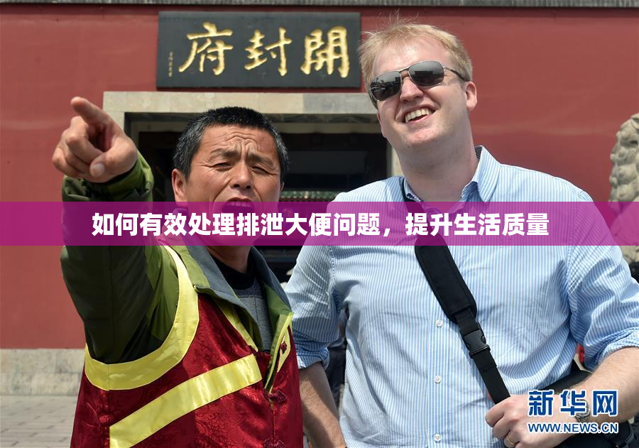 如何有效处理排泄大便问题，提升生活质量