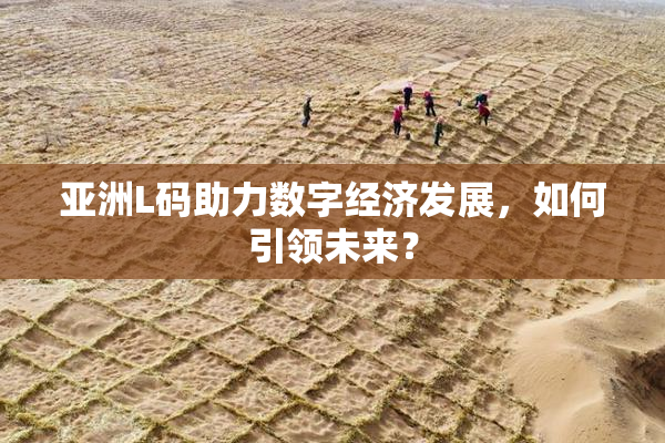 亚洲L码助力数字经济发展，如何引领未来？