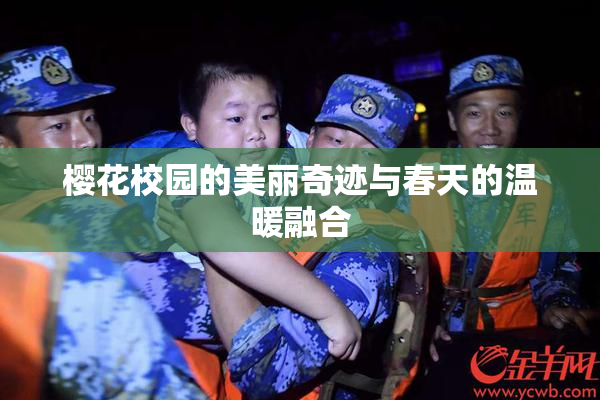 樱花校园的美丽奇迹与春天的温暖融合