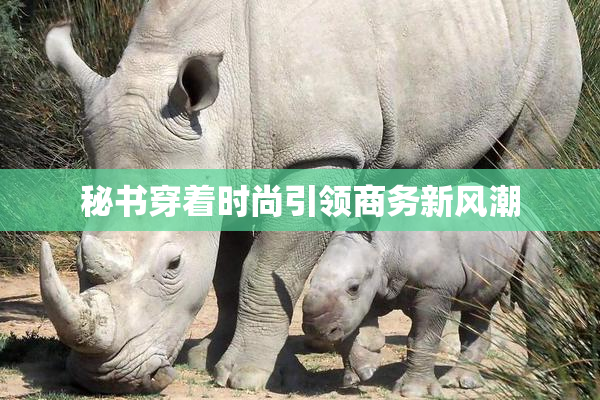 秘书穿着时尚引领商务新风潮