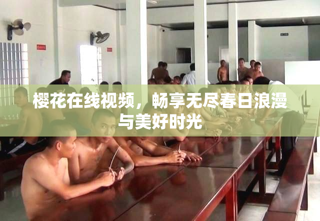 樱花在线视频，畅享无尽春日浪漫与美好时光