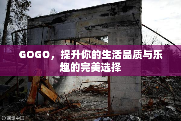 GOGO，提升你的生活品质与乐趣的完美选择