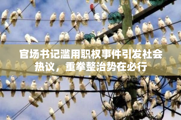 官场书记滥用职权事件引发社会热议，重拳整治势在必行