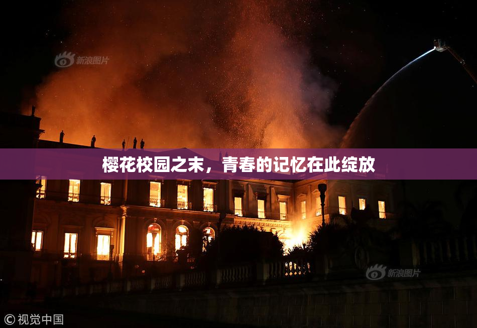 樱花校园之末，青春的记忆在此绽放