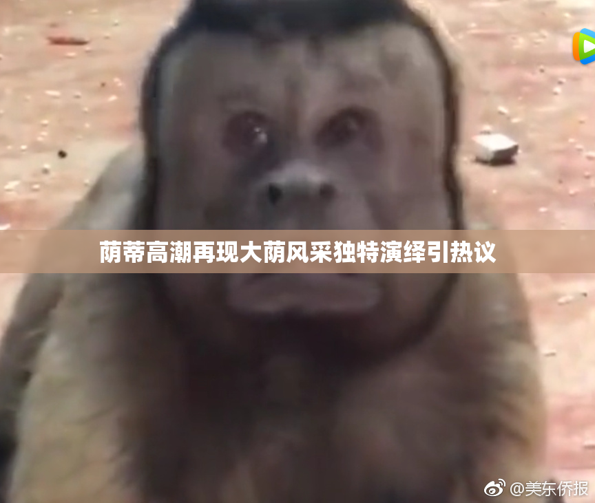 荫蒂高潮再现大荫风采独特演绎引热议
