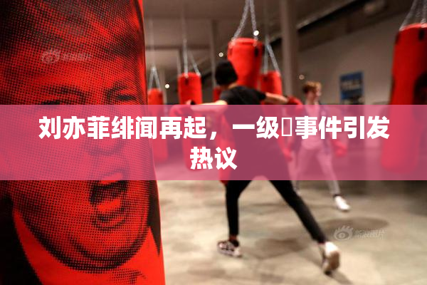 刘亦菲绯闻再起，一级婬事件引发热议