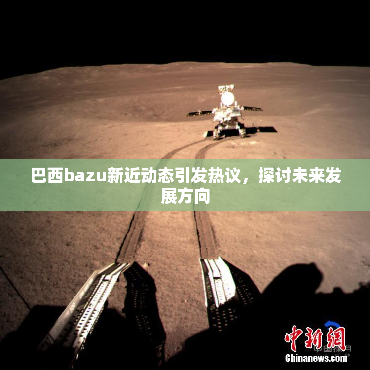 巴西bazu新近动态引发热议，探讨未来发展方向