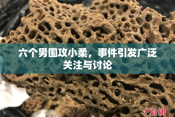 六个男围攻小柔，事件引发广泛关注与讨论