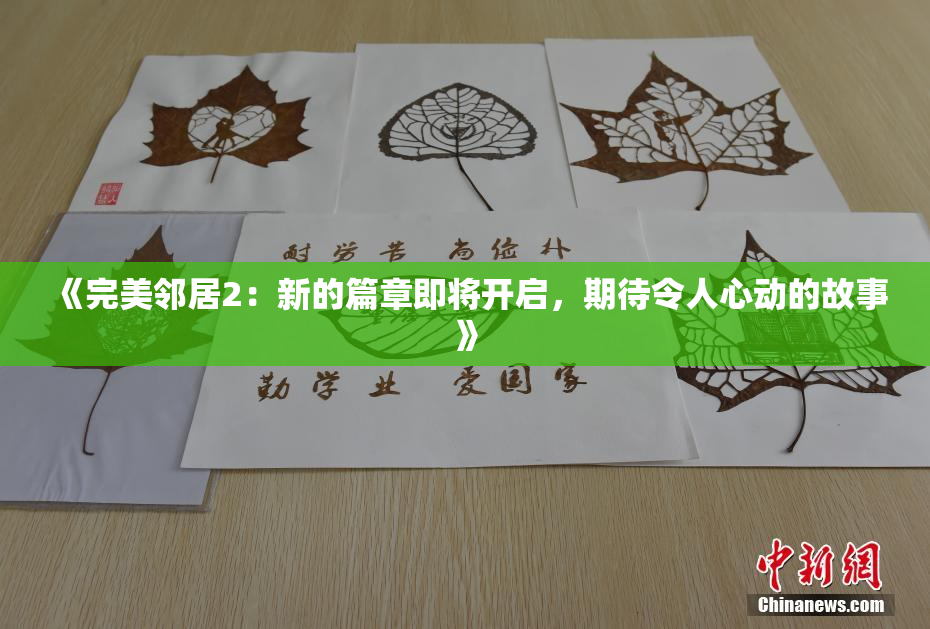 《完美邻居2：新的篇章即将开启，期待令人心动的故事》