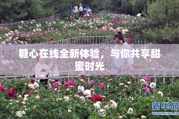 糖心在线全新体验，与你共享甜蜜时光