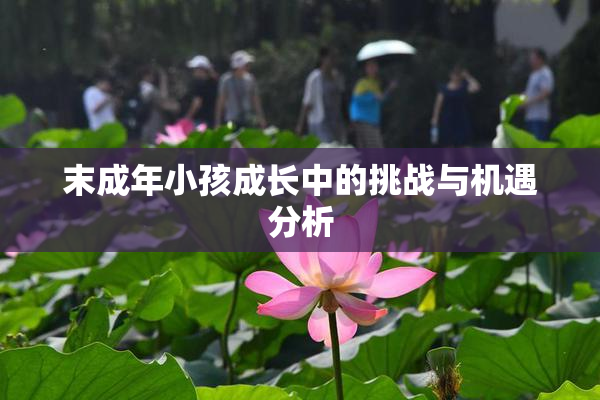 末成年小孩成长中的挑战与机遇分析