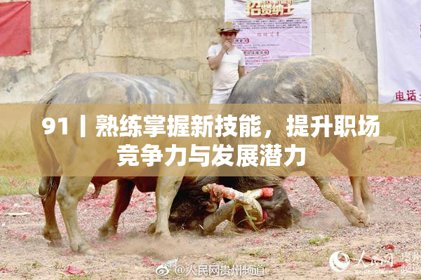 91丨熟练掌握新技能，提升职场竞争力与发展潜力