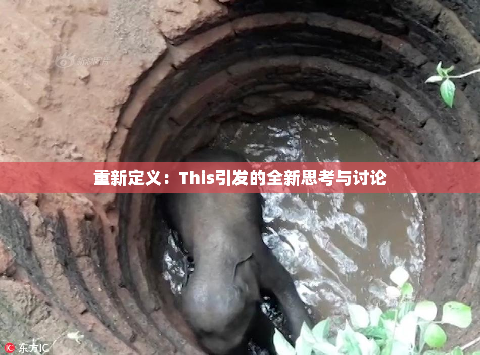 重新定义：This引发的全新思考与讨论