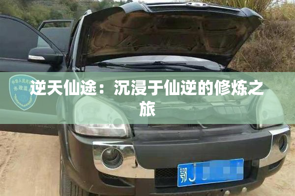 逆天仙途：沉浸于仙逆的修炼之旅