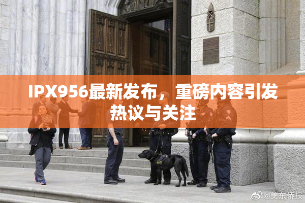 IPX956最新发布，重磅内容引发热议与关注