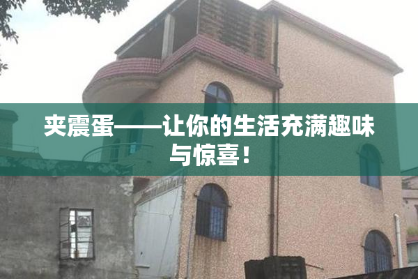 夹震蛋——让你的生活充满趣味与惊喜！