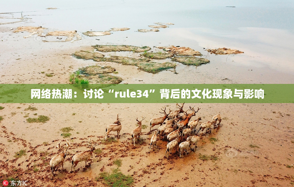 网络热潮：讨论“rule34”背后的文化现象与影响