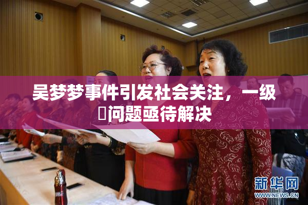 吴梦梦事件引发社会关注，一级婬问题亟待解决