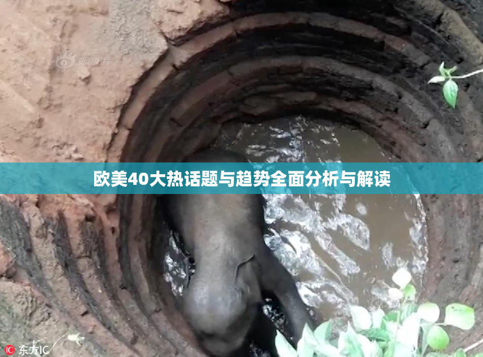 欧美40大热话题与趋势全面分析与解读