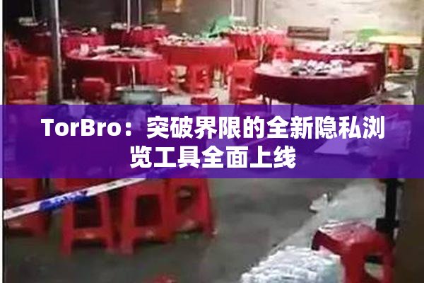 TorBro：突破界限的全新隐私浏览工具全面上线