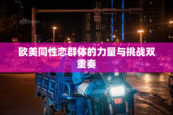 欧美同性恋群体的力量与挑战双重奏