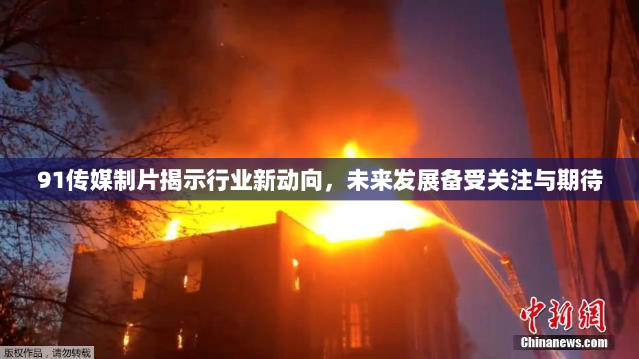 91传媒制片揭示行业新动向，未来发展备受关注与期待