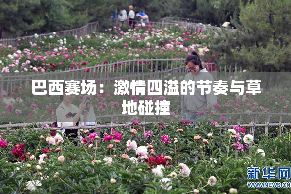 巴西赛场：激情四溢的节奏与草地碰撞